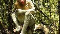 Maskot Tarakan