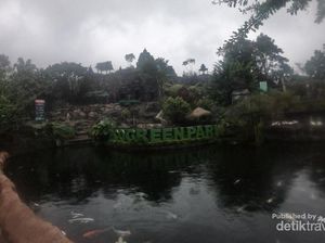 Belajar Kreatif di Eco Green Park