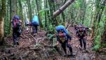 Belajar Makna Hidup di Gunung Gede Pangrango