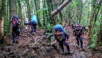 Trek yang menantang
