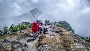Belajar Makna Hidup di Gunung Gede Pangrango