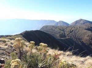 Belajar Tanggap Bencana dari Gunung Tambora