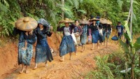 Perempuan Baduy pulang dari ladang