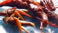 Belalang Goreng