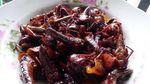 Belalang Goreng, Wisata Kuliner Ekstrem Khas Gunungkidul