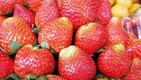 Stroberi yang menjadi primadona oleh-oleh dari Bedugul