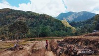 Jalur menuju Cunca Rami, melalui perkebunan warga