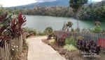 Belum Banyak Orang Tahu, Danau Cantik di Pelosok Jambi