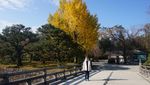 Belum ke Kyoto, Kalau Belum ke Kastil Nijo