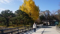 Honmaru Garden, dibangun dalam rangka kunjungan Kaisar Meiji