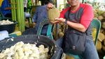 Belum ke Medan, Kalau Belum Mampir ke Ucok Durian