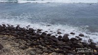 Sisi tengah pantai Pidakan