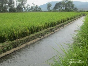 Bengkawah, Air Terjun Nan Perawan di Pemalang