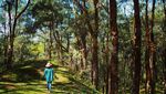Bentang Alam Mengagumkan, New Zealand Baru dari NTT