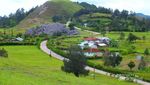 Bentang Alam Mengagumkan, New Zealand Baru dari NTT