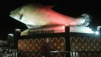 Ikon ikan belida