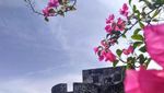 Benteng Tolluko, Saksi Pertahanan Ternate dari Spanyol