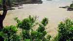 Berakhir Pekan dengan Penyu dan Pantai di Ujung Genteng