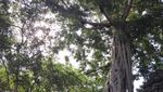 Beramal dengan Wisata Sepeda di Kawasan Angkor Wat, Kamboja