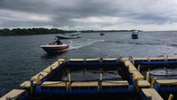 Kolam berukuran kecil di samping rumah apung utama