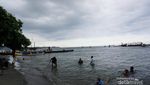 Berani? Berenang Bareng Hiu di Banyuwangi
