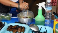 Berani mencoba Kalajengking Crispy?