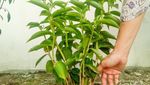 Berbagai Kegiatan Asyik Saat Libur #dirumahaja