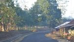 Berburu Batu Akik di Desa Ancaen, Sukabumi