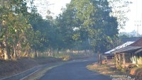 Jalanan menuju Desa Ancaen