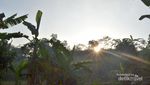 Berburu Batu Akik di Desa Ancaen, Sukabumi