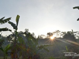 Berburu Batu Akik di Desa Ancaen, Sukabumi