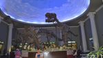 Berburu Fosil Dinosaurus di Museum Satwa, Batu