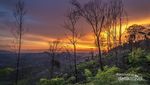 Berburu Foto di Gunung Mandiangin Tahura