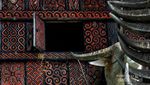 Berburu Foto Keren di Tana Toraja