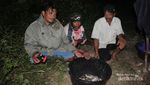 Berburu Ikan Dewa di Danau Toba