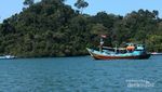 Berburu Ikan Laut Segar dari Pantai Sendangbiru