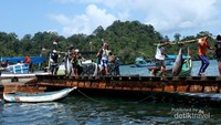 Puluhan ton ikan ditangkap setiap harinya