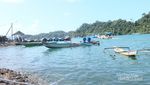 Berburu Ikan Laut Segar dari Pantai Sendangbiru