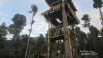 Berburu Sunrise Cantik di Kaki Gunung Sindoro
