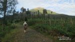 Berburu Sunrise Cantik di Kaki Gunung Sindoro