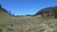Padang Savana Gunung Butak