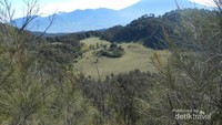 Pemandangan Savana dari Puncak Gunung Butak