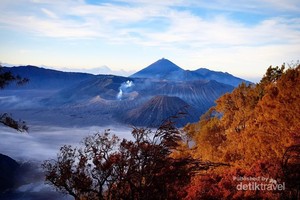 Berburu Sunrise yang Eksotik di Kawasan Bromo
