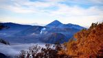 Berburu Sunrise yang Eksotik di Kawasan Bromo