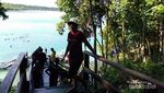Bercanda Bareng Ubur-ubur Tak Menyengat di Danau Kakaban