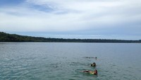 Pulau kakaban yang unik dengan danau besar di tengahnya