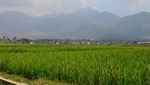 Berendam Air Panas Ala Onsen Jepang di Garut