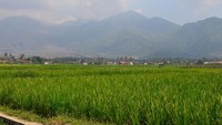 Swiss van java