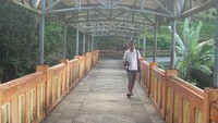 Jembatan gantung yang jadi jembatan permanen