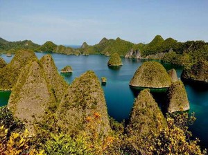Berharap Pada Popularitas Raja Ampat